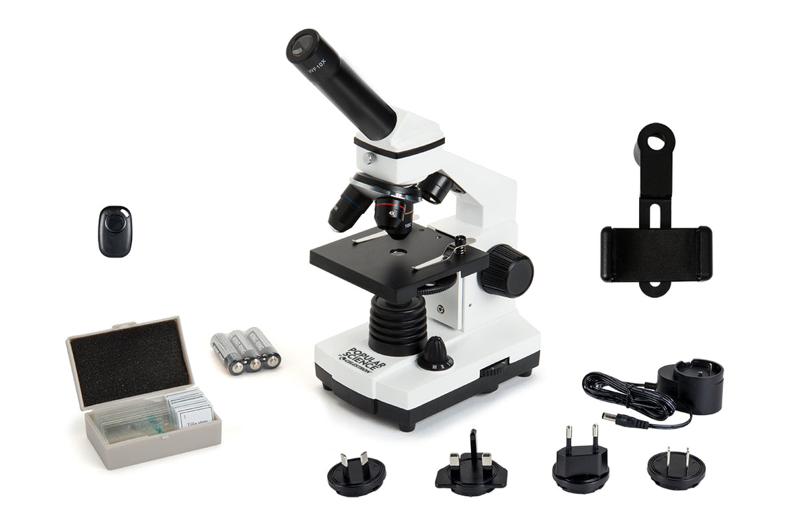 Celestron cm800 compound hotsell microscope