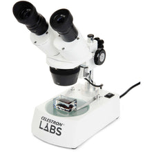 Load image into Gallery viewer, Celestron Labs S10-60 Stereo Microscope