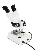 Load image into Gallery viewer, Celestron Labs S10-60 Stereo Microscope