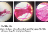 Saxon - Kids - ScienceSmart Biological Microscope 40x-400x