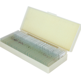 Saxon Animals Biological Micrcoscope Prepared Slides (50pcs) (310005)