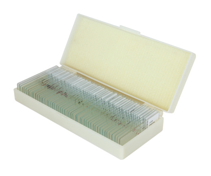 Saxon Animals Biological Micrcoscope Prepared Slides (50pcs) (310005)