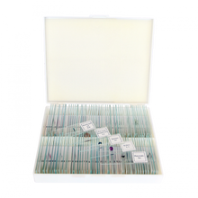 Load image into Gallery viewer, Saxon Biological (Plant &amp; Animal ) Prepared Microscope Slides (100pcs)  (310010)