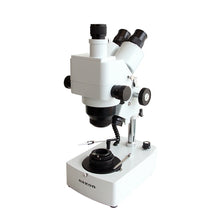 Load image into Gallery viewer, Saxon GSM Gemological Microscope 10x-160x  (314220)