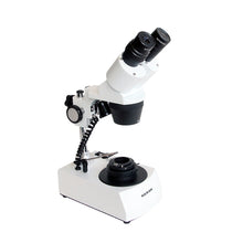 Load image into Gallery viewer, Saxon GSM Gemological Microscope 20x-40x  (314007)