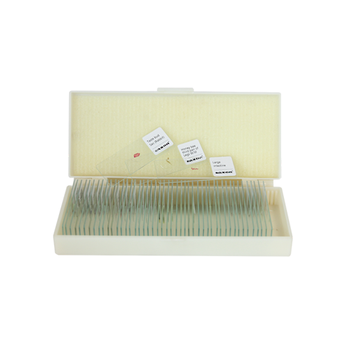 Saxon Plants Biological Micrcoscope Prepared Slides (50pcs) (310006)